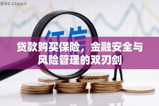 清新贷款购买保险，金融安全与风险管理的双刃剑