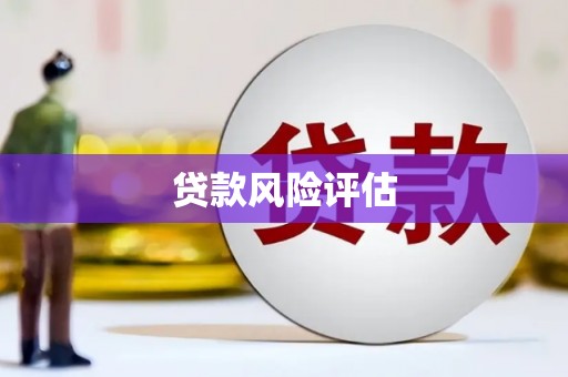清新贷款风险评估