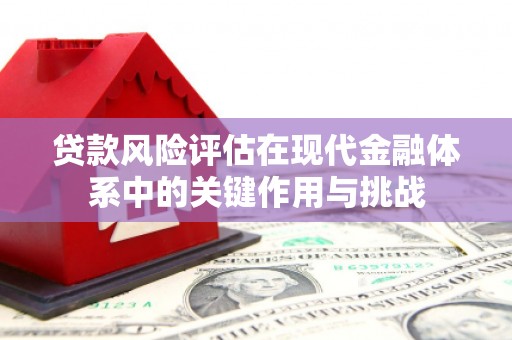 清新贷款风险评估在现代金融体系中的关键作用与挑战