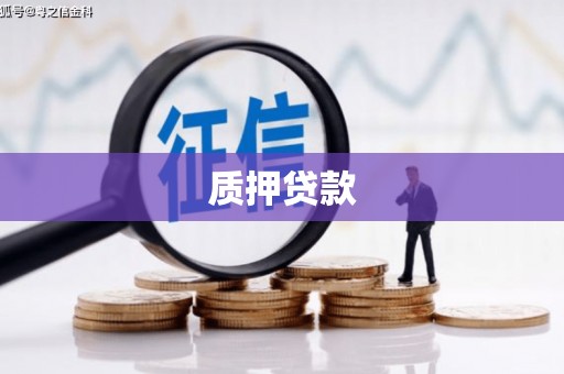 清新质押贷款