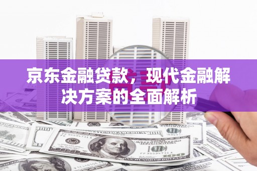清新京东金融贷款，现代金融解决方案的全面解析