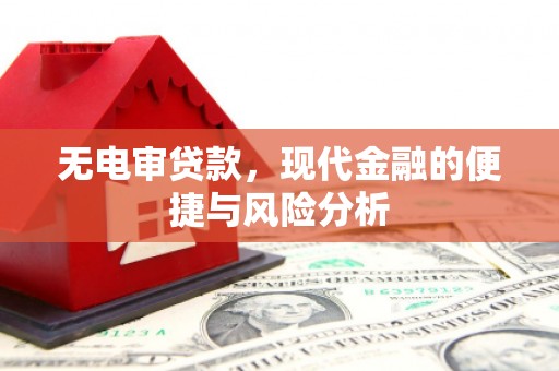 清新无电审贷款，现代金融的便捷与风险分析