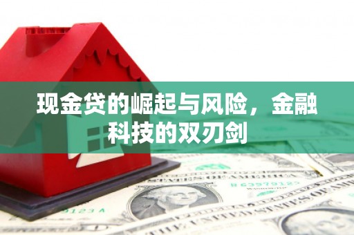 清新现金贷的崛起与风险，金融科技的双刃剑