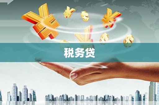 清新税务贷