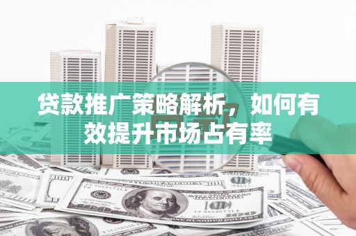 清新贷款推广策略解析，如何有效提升市场占有率