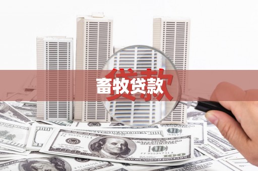 清新畜牧贷款