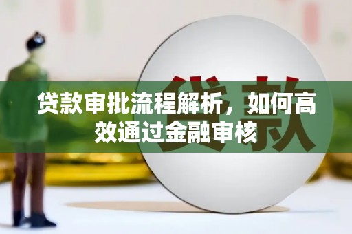 清新贷款审批流程解析，如何高效通过金融审核