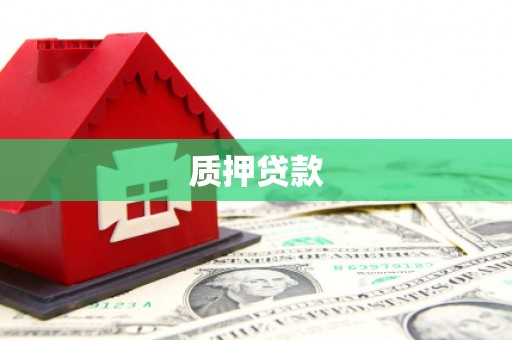 清新质押贷款