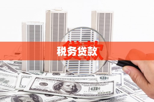 清新税务贷款