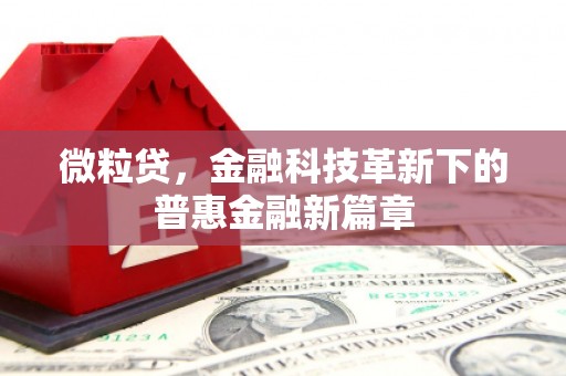 清新微粒贷，金融科技革新下的普惠金融新篇章