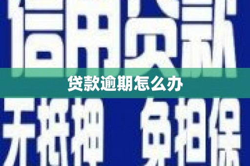 清新贷款逾期怎么办