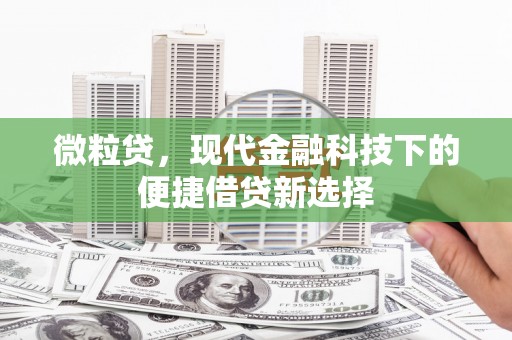 清新微粒贷，现代金融科技下的便捷借贷新选择