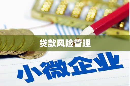 清新贷款风险管理