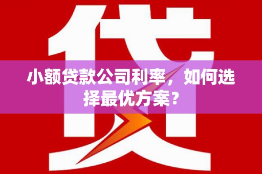 清新小额贷款公司利率，如何选择最优方案？