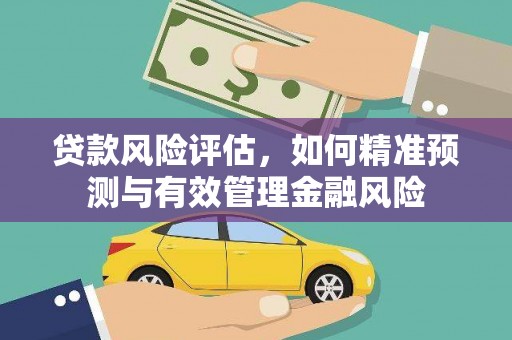 清新贷款风险评估，如何精准预测与有效管理金融风险