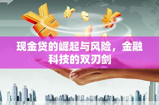 清新现金贷的崛起与风险，金融科技的双刃剑