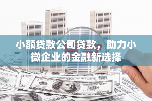 清新小额贷款公司贷款，助力小微企业的金融新选择