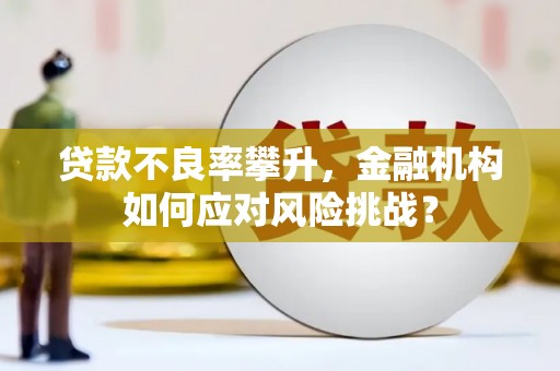 清新贷款不良率攀升，金融机构如何应对风险挑战？