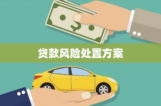 清新贷款风险处置方案