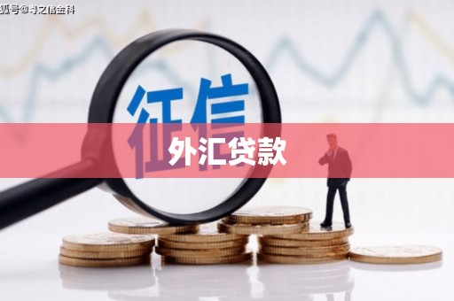 清新外汇贷款