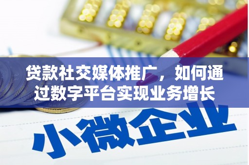 清新贷款社交媒体推广，如何通过数字平台实现业务增长