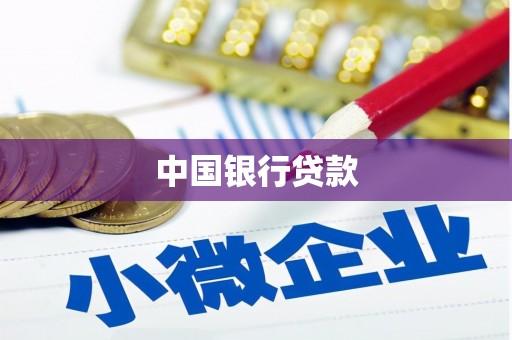 清新中国银行贷款