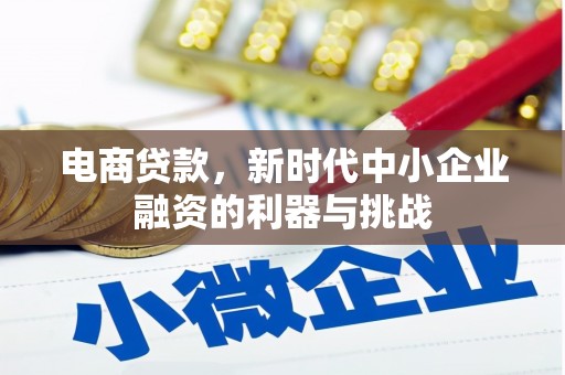 清新电商贷款，新时代中小企业融资的利器与挑战