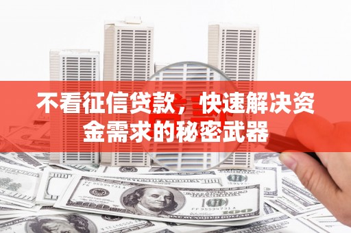 清新不看征信贷款，快速解决资金需求的秘密武器