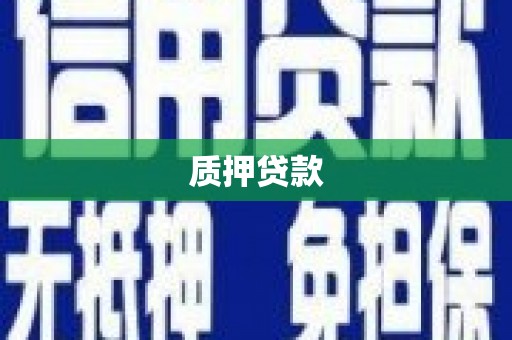 清新质押贷款