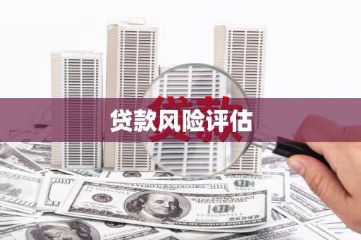 清新贷款风险评估