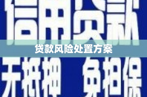 清新贷款风险处置方案