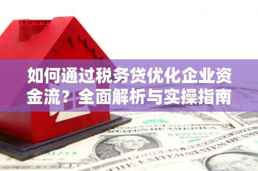 清新如何通过税务贷优化企业资金流？全面解析与实操指南