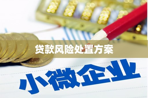 清新贷款风险处置方案