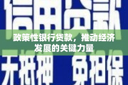 清新政策性银行贷款，推动经济发展的关键力量