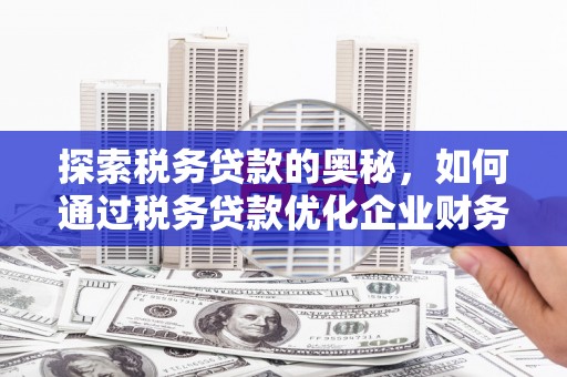 清新探索税务贷款的奥秘，如何通过税务贷款优化企业财务