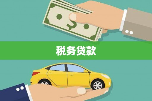 清新税务贷款
