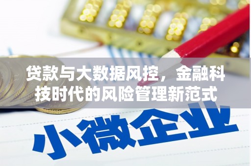 清新贷款与大数据风控，金融科技时代的风险管理新范式