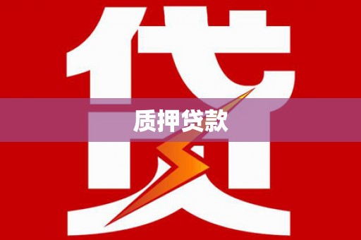清新质押贷款