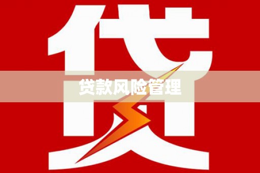 清新贷款风险管理