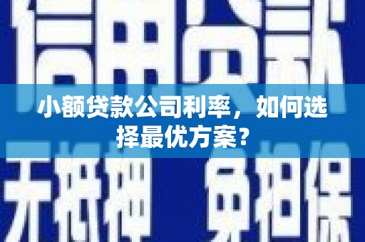清新小额贷款公司利率，如何选择最优方案？