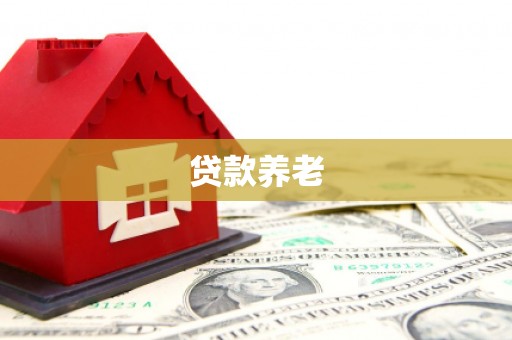 清新贷款养老