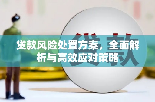 清新贷款风险处置方案，全面解析与高效应对策略