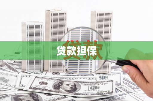 清新贷款担保