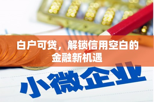 清新白户可贷，解锁信用空白的金融新机遇