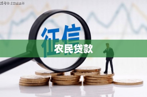 清新农民贷款