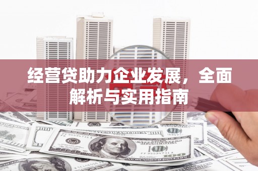 清新经营贷助力企业发展，全面解析与实用指南