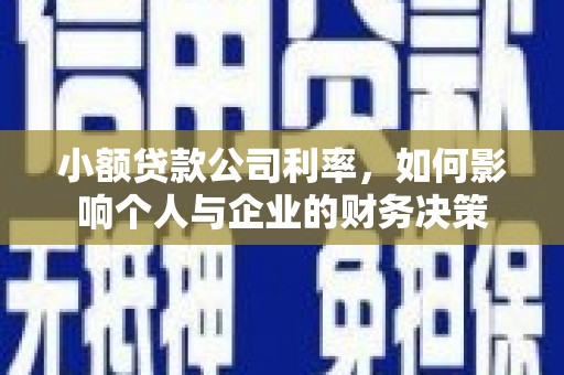 清新小额贷款公司利率，如何影响个人与企业的财务决策