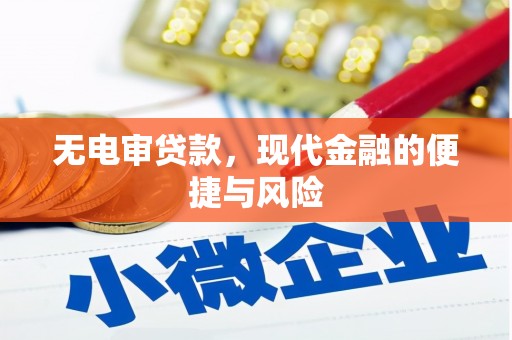 清新无电审贷款，现代金融的便捷与风险