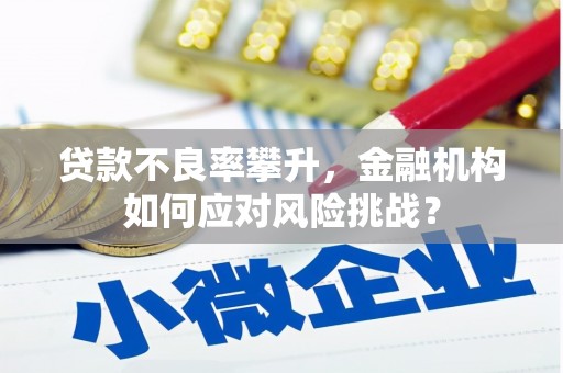 清新贷款不良率攀升，金融机构如何应对风险挑战？