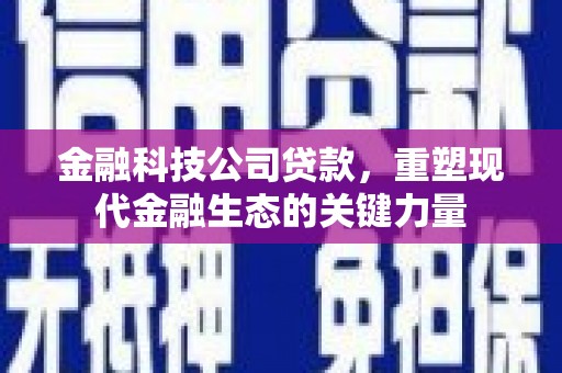 清新金融科技公司贷款，重塑现代金融生态的关键力量